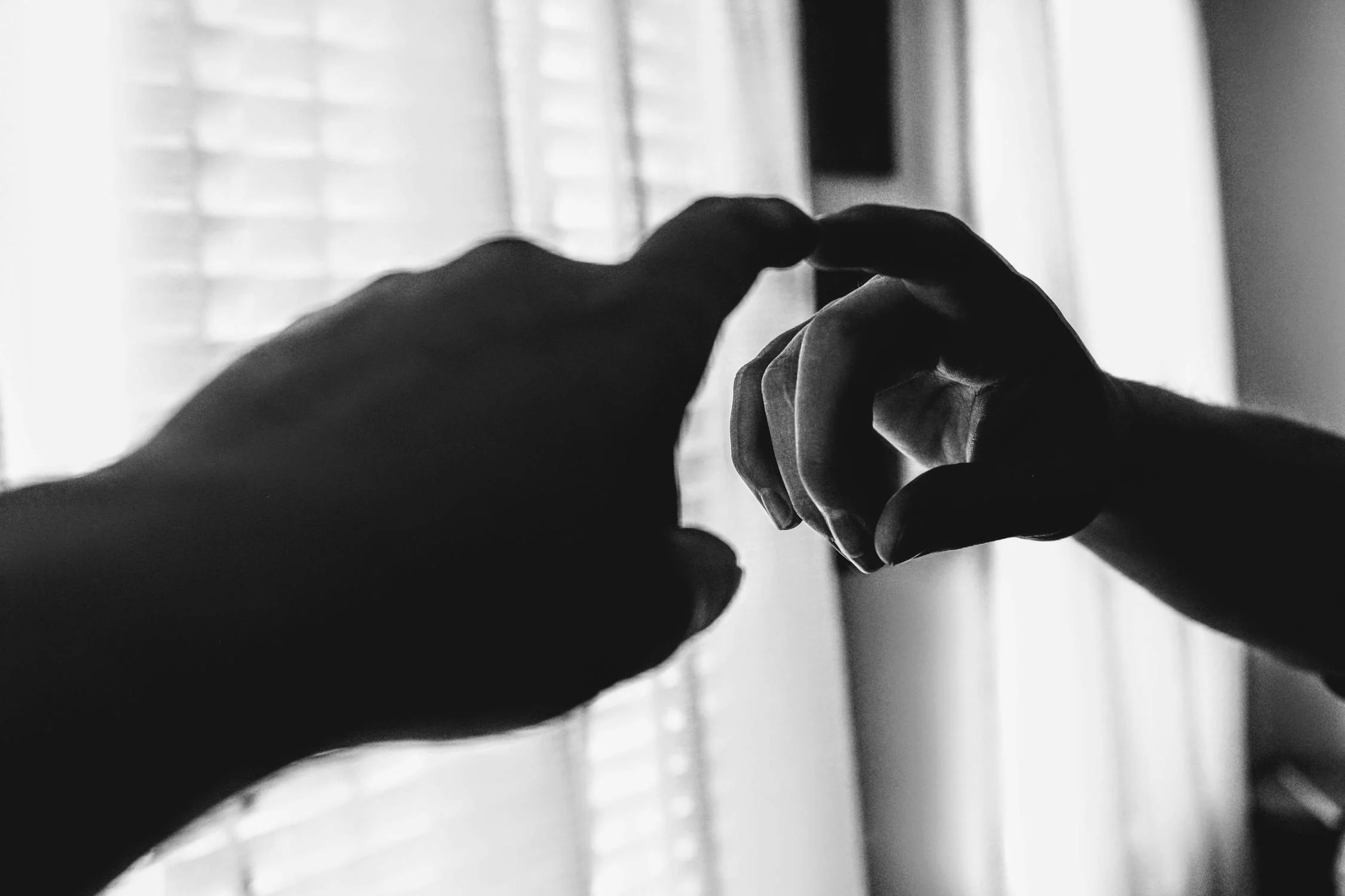 Is It Self Love Or Self Obsession? The Narcissist'S Paradox - vg4e02p